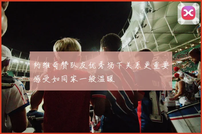 约维奇赞队友优秀场下关系更重要感受如同家一般温暖